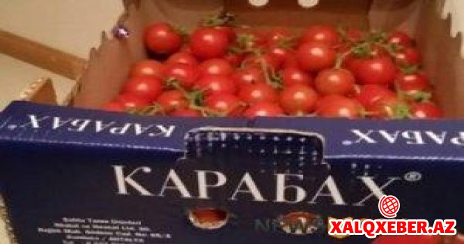 Azərbaycanlı sahibkar Ermənistana "Karabax" pomidorları yolladı
