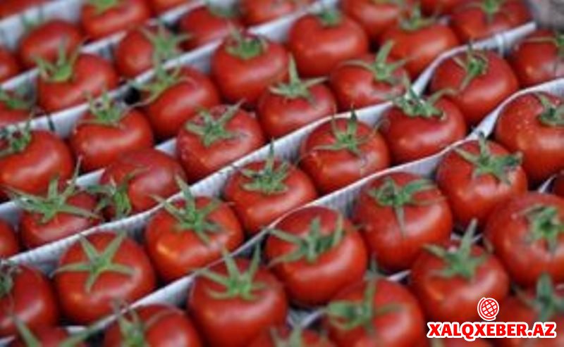 Rusiya sərhədə tərəzi qoydu, Bakıda pomidor 3 dəfə ucuzlaşdı