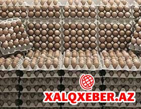 Yumurtanın qiymətinin qalxmasına rəsmi reaksiya: - "Artıma işbazlar səbəb olur"