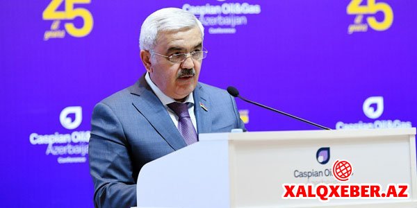 Rövnəq Abdullayev: "Azərbaycan qazı Avropa bazarında özünə layiqli yer tutacaq"