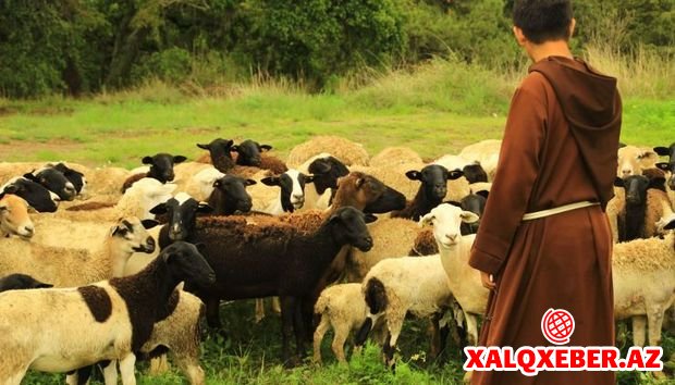 Zaqatalada itkin düşən çobanın meyiti tapıldı