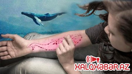 İntihar kabusu “Mavi balina” Azərbaycanda bloklanır?