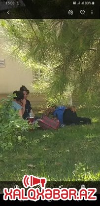 Nazir “OMD”-nin həyətində piknik yaradıb, yoxsa Çernobıl qəzası? -İnanılmaz fotolar
