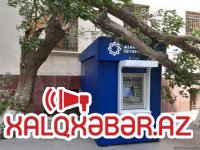 Bakıda güclü külək ağacı bankomatın üzərinə aşırdı