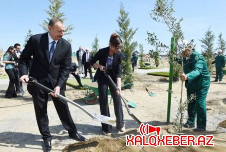 Prezident İlham Əliyev və Mehriban Əliyeva Şamaxıda ağacəkmə aksiyasında iştirak ediblər