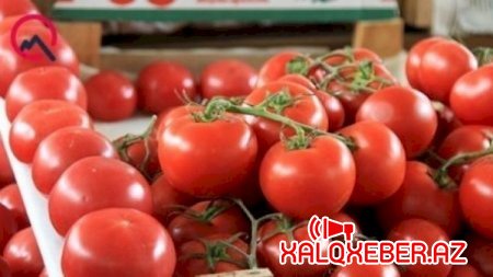 Ruslar Azərbaycan pomidorundan imtina edir - SƏBƏB