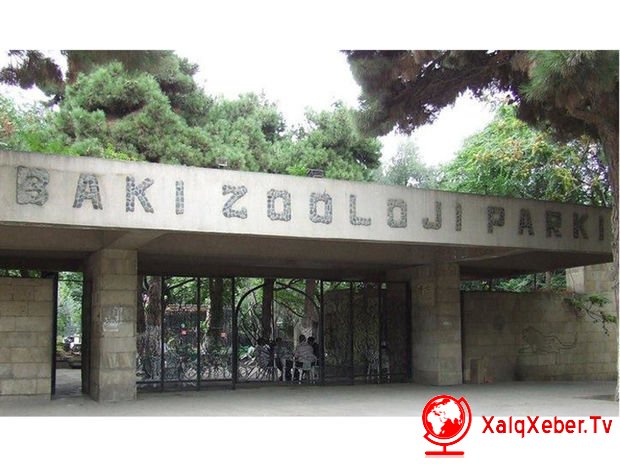 Bakı Zooparkına Çexiyadan maraqlı hədiyyə verilib