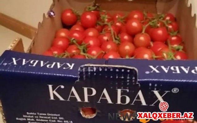 Ermənilər “Qarabağ” pomidorlarını ölkəyə buraxmadı
