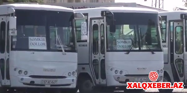 Şəmkirdə avtobus üsyanı: Nazirlik bir şey deyir, xidmət rəisi başqa (VİDEO)