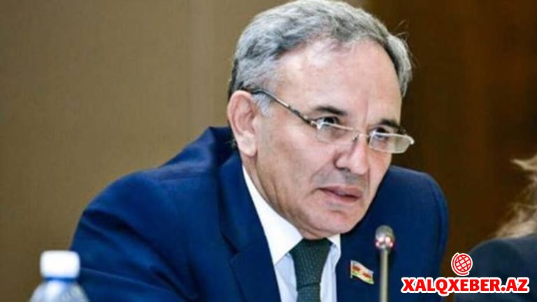 Əflatun Amaşovdan Ombudsmanın hesabatına etiraz