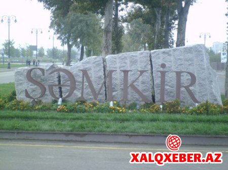 Şəmkirdə ŞOK ÖZBAŞINALIQ - FOTOFAKT