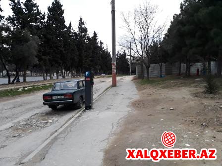 Xətai rayonunda ağaclar kütləvi şəkildə qırılır - FOTOLAR
