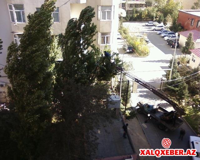 “ Nə prezident tapşırığı, pulunu ver binanı tik..”- Fədai İmanovun arxasından görün hansı nazir çıxdı