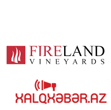 “Fireland Vineyards” MMC rəhbərinin ŞOK CİNAYƏTİ - külli miqdarda mənimsəmədə ittiham edilir