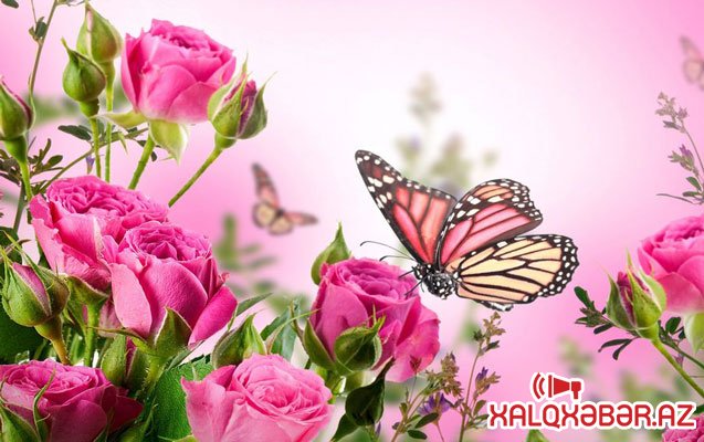 Sabah 20 dərəcə isti olacaq