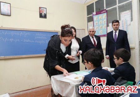Mehriban Əliyeva Bakıdakı bir sıra təhsil müəssisələrində mövcud şəraitlə tanış olub