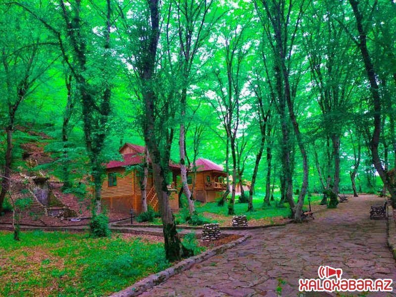 Salyanın keçmiş icra başçısının hektarlarla meşə zolağında salınan dəbdəbəli oteli — FOTOLAR