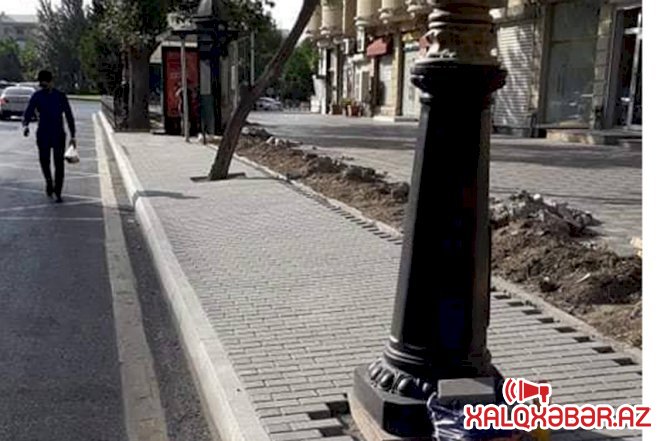 Yaşıllığı söküb yerinə daş döşəyirlər – Fotolar