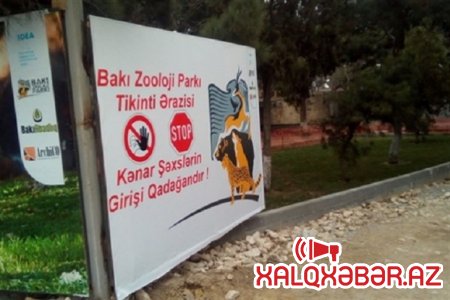 Bakı Zooparkında "dövlət sirri": təmir haqqında məlumatlar niyə gizlədilir?- FOTOLAR
