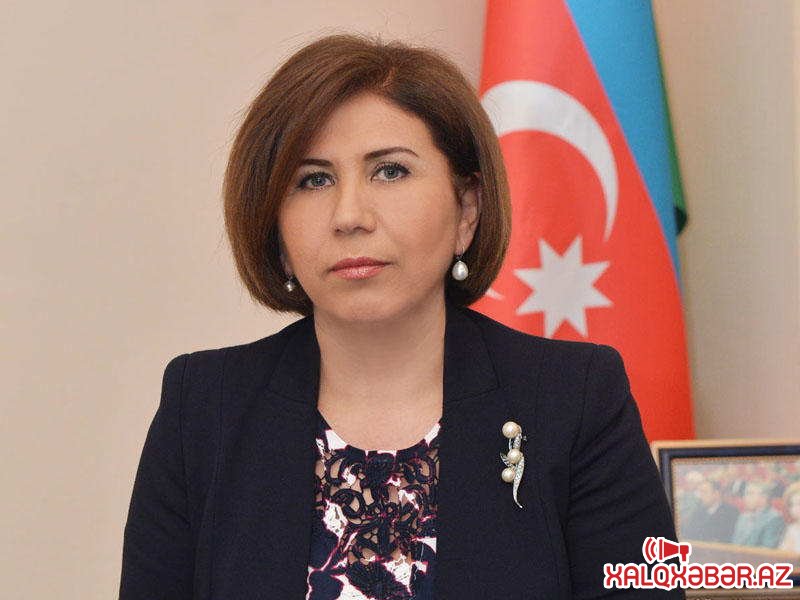 "Hökumətdən xahiş edirəm ki..." - Bahar Muradova