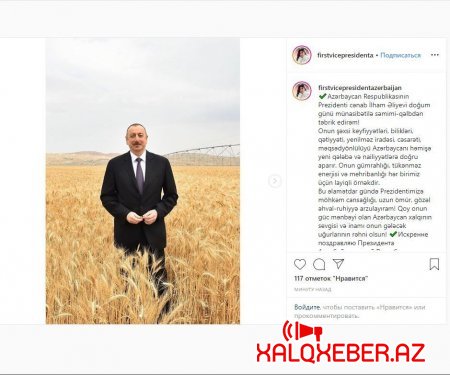 Mehriban Əliyeva Azərbaycan Prezidentini doğum günü münasibətilə təbrik edib - FOTO