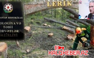Lerik meşələrində “yaşıl soyqırım”: Muxtar Babayev susur – Video