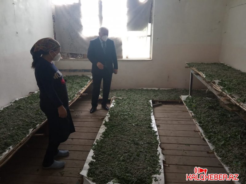 Füzuli Rayon İcra Hakimiyyətinin başçısı Alı Alıyev, barama saxlanılan məntəqələrdə oldu
