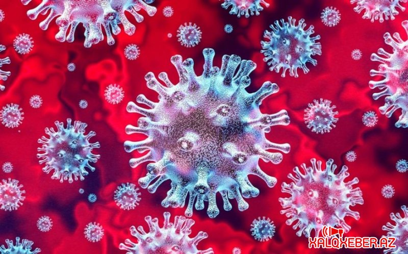 Koronavirusun yeni növü aşkarlandı, sürətlə yayılır
