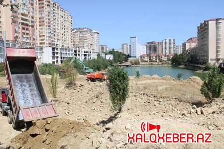Hacı Salayevin tikdirmək istədiyi otelin yerində ağaclar əkilir - FOTO