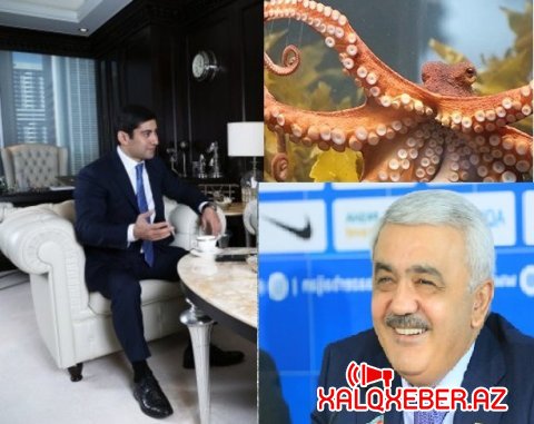 Anar Əlizadə - SOCAR-ın aktopodu, yoxsa Azərbaycan mediasının yeni senzoru?