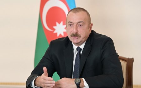 "Türkiyə kimi böyük ölkəyə ərazi iddiaları irəli sürmək axmaqlıqdır" - Prezident