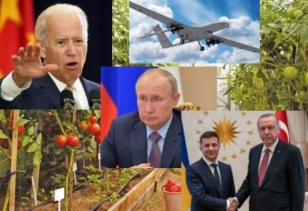 Rusiyanın pomidor savaşı: Moskva yeni “5-ci kolon” yaratmaq istəyir? - NƏ BAŞ VERİR?