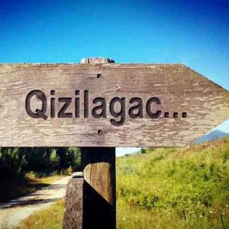 Bələdiyyə sədri Şamil Məmmədovun keçmiş və indiki cinayətləri - Terrorçuluq, əxlaqsız hərəkətlər, mənimsəmə...