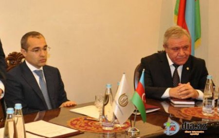 GDU rektorunu Mikayıl Cabbarov HİMAYƏ EDİR? - İTTİHAM