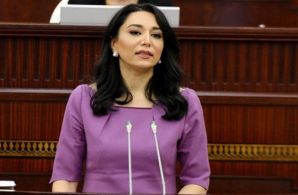 Ombudsmanın səlahiyyətləri artırıldı