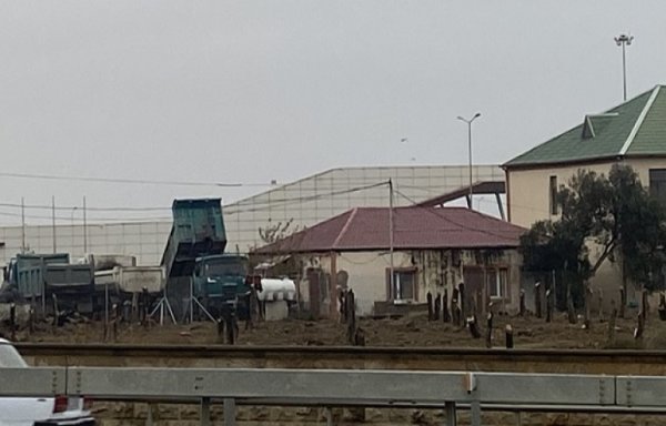 Heydər Əliyevin anım günündə Bakıda yüzlərlə ağac kəsilib - BU NƏDİ BELƏ?!