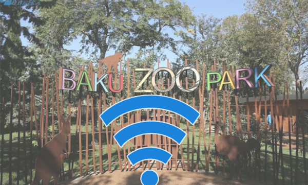 “Bakı Zooparkı” internet üçün hər ay 1 230 manat xərcləyəcək