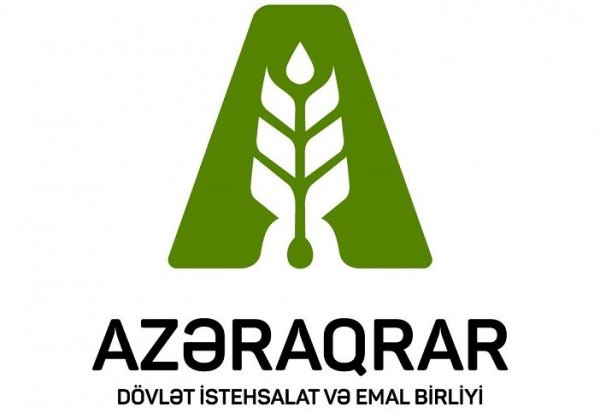 `Azəraqrar` MMC-nin SUBSİDİYA FIRILDAĞI... - Büdcəni BELƏ YEYİRLƏR