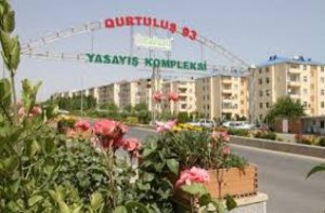 `Qurtuluş-93`dəki YAŞIL SOYQRIRIM davam edir...