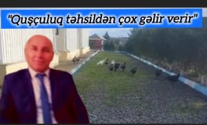 Məktəb direktoru Adıgözəl Qürbətovun medianı məhkəmə ilə hədələməsi... - FAKT olduğu yerdə... CƏLİLABAD