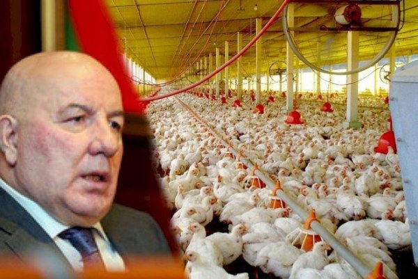 ELMAN RÜSTƏMOV MALİYYƏ PROBLEMİ YAŞAYIR? - “Səba” şirkətinin qiymətli aktivləri satışa çıxarılır