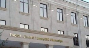 Burda bazar açıblar, valideynlər də təsdiqləyir, amma... - NƏ OLSUN Kİ...