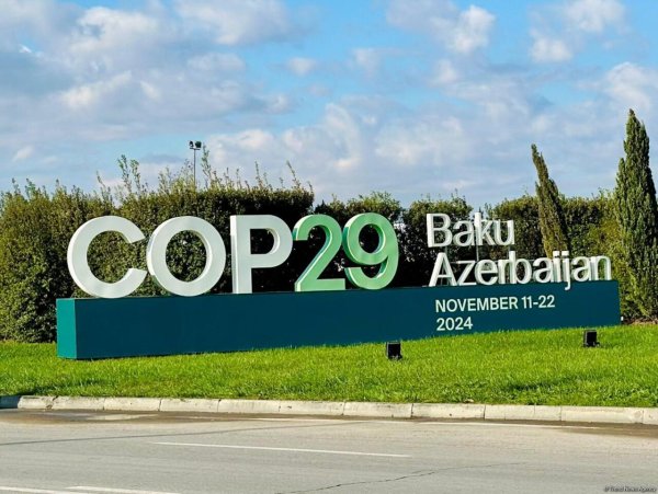 "COP29-un Azərbaycanda keçirilməsi ölkəmizin qlobal iqlim siyasətindəki mövqeyini gücləndirəcək"