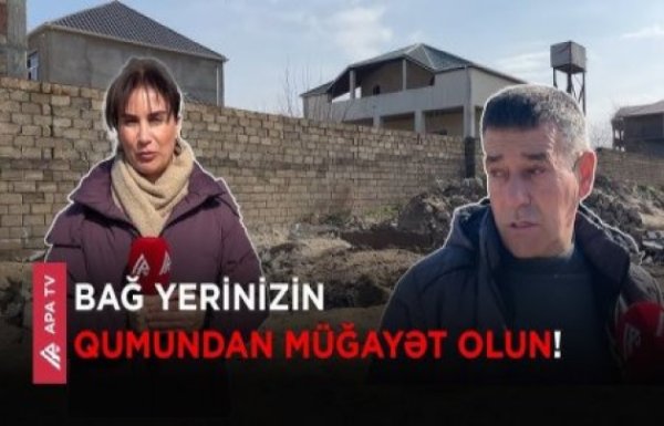 Novxanı bağlarında qonşu həyətini “karyerə” çevirdi – APA TV