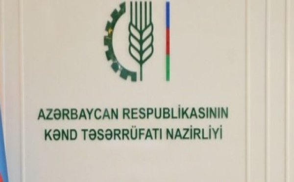 "Bir ildən artıqdır ki, bu məbləğ hesaba köçürülmür..." - NARAZILIQ VAR...