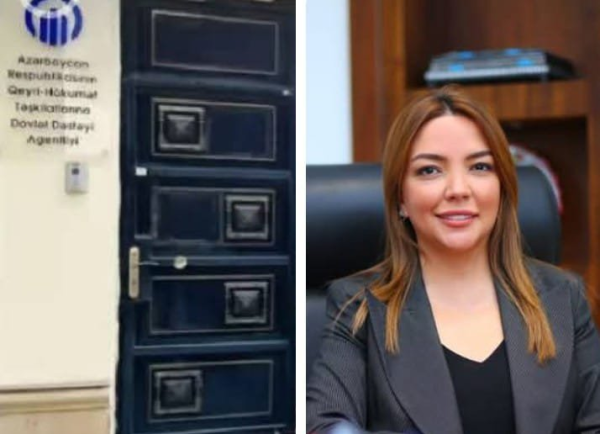 Hökumət yanında “gözükölgəli” qeyri-hökumət təşkilatları -DE-FAKTO