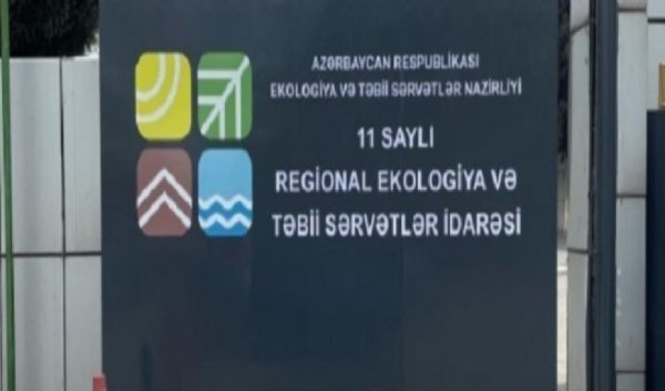 "Ləvəngi" restoranının yanıda ağaclar kəsildi, yerində klinika tikilir: 11 saylı RETSİ rəsi "yaşıl terror"a nədən alət olur?