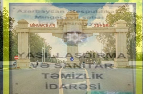 Mingəçevir şəhər Yaşıllaşdırma İdarəsinə “gül satan qız” əslində kimdi