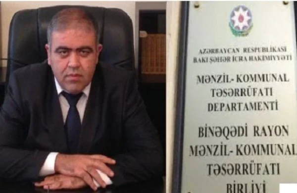 Biləcəridə "yaşıl soyqrım" ağacların gizli kəsilmini Elmin Zamanov belə hayata keirib! - 11 saylı RETSİ isə susur/Video