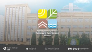 Nazirliyin Bakının mərkəzindən XƏBƏRİ YOXDUR: Gözgörəsi... - BU DA FAKT! FOTO